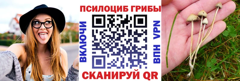 ссылка на мегу как войти  Советский  Псилоцибиновые грибы прущие грибы 